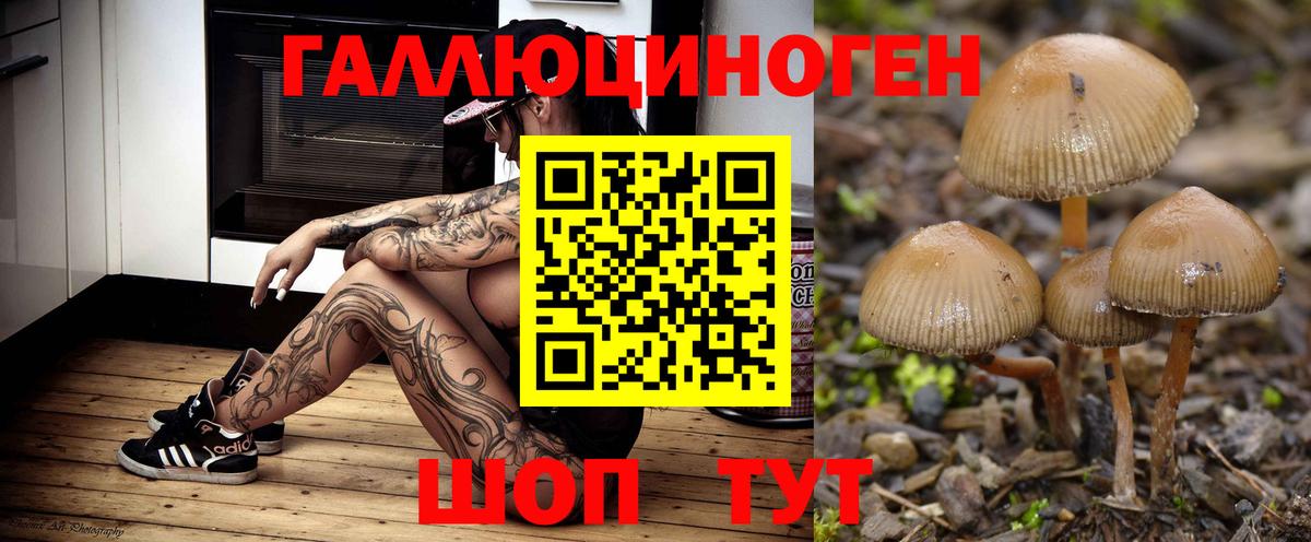 Галлюциногенные грибы мухоморы Канск