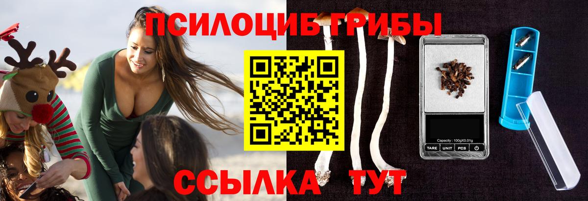 Псилоцибиновые грибы Psilocybine cubensis  где найти   Вход с VPN  Канск  Галлюциногенные грибы Psilocybe 